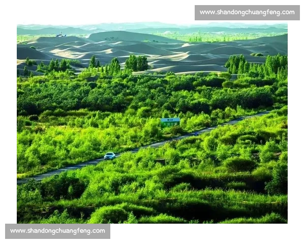 以生态优先推动绿色转型构建人与自然和谐共生现代化发展新格局