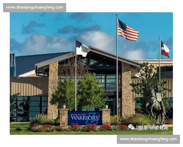 全球顶级体育联盟发展格局与未来趋势观察及商业价值创新战略研究